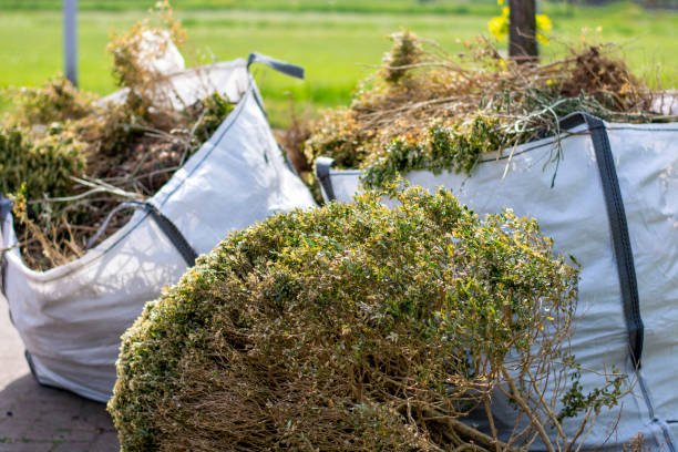 Best Appliance Removal Near Me  in Brentwood, PA
